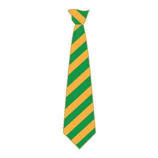 Tie Clip Str.Broad Non-Stock Emerald/Gold