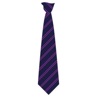 Tie Clip Str.Double Non-Stock Navy/Purp