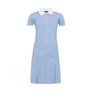 Avon Zip-Fronted Corded Gingham Dress Blue