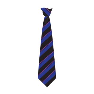 Tie Clip St.Sp.1Wc NHampton A. Purp
