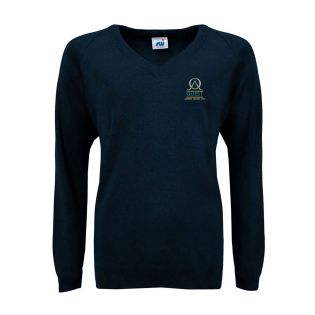 V Neck Knitted Jumper Quest Academy Navy