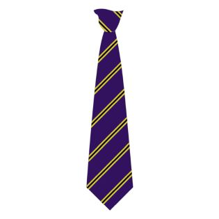 Tie St.Sp.1Wc St Pauls Catholic School Purple/Gold