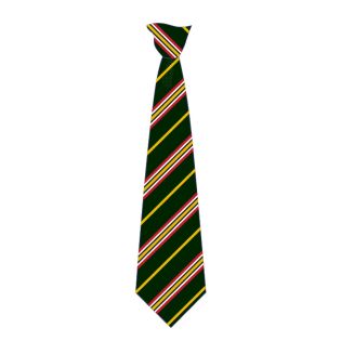 Tie Clip Tudor Grange Primary Ac St James Bottle/Gold