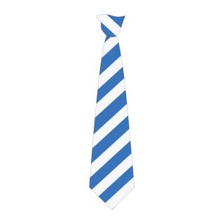 Tie Broad Stripe (45") Royal/White