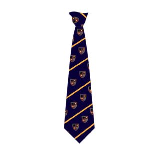Biddenham School Tie Yr 9-11 Clip AO Logo With Stripes Navy/Gold