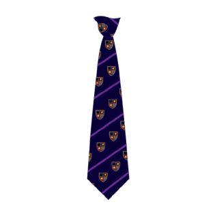 Biddenham School Tie Yr 9-11 Clip AO Logo With Stripes Navy/Purple