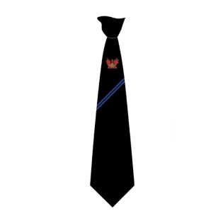 Tie 1 Logo Cheam High School Black/Royal