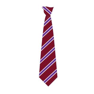 Calthorpe Park School Tie Maroon/Purple