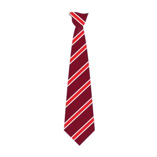 Calthorpe Park School Tie Maroon/Red