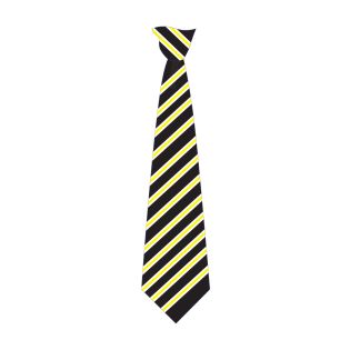 Tie Clip St.Sp.2Wc Longsands Academy Black/Yellow