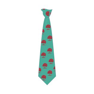 Tie Clip AO Logo Orchard Meadow PS Green/Red