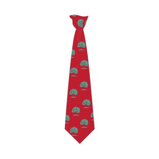 Tie Clip AO Logo Orchard Meadow PS Red/Green