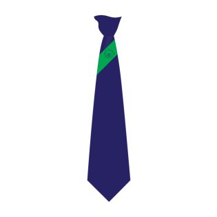 Tie Salford City Academy Navy/Emerald