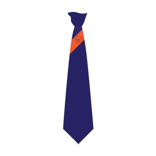 Tie Salford City Academy Navy/Orange