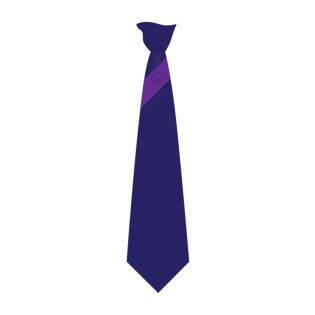 Tie Salford City Academy Navy/Purple