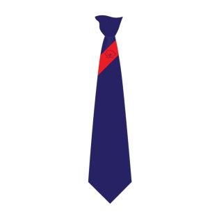 Tie Salford City Academy Navy/Red
