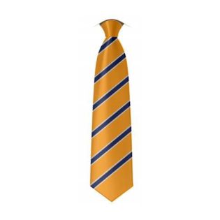 Tie St.Sp.2Wc Whitehaven Academy Orange/Navy