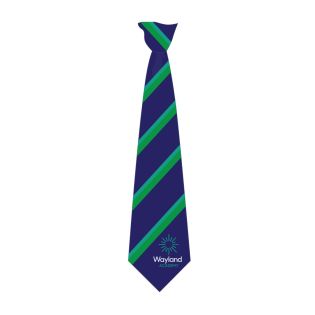 Wayland School Tie Navy/Emerald